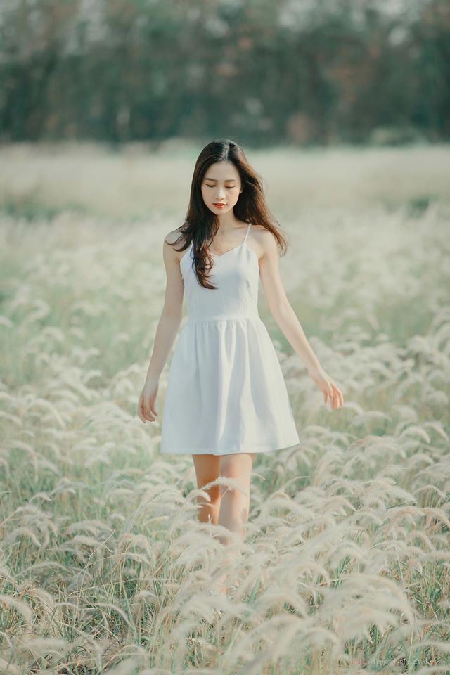 霧情水