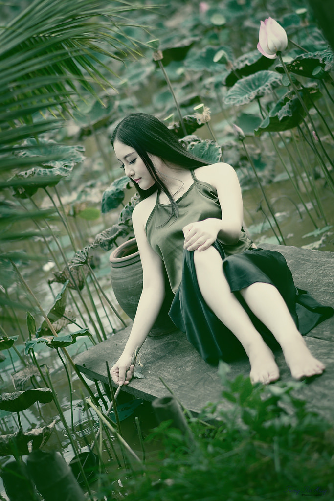 云之羽免費(fèi)觀看