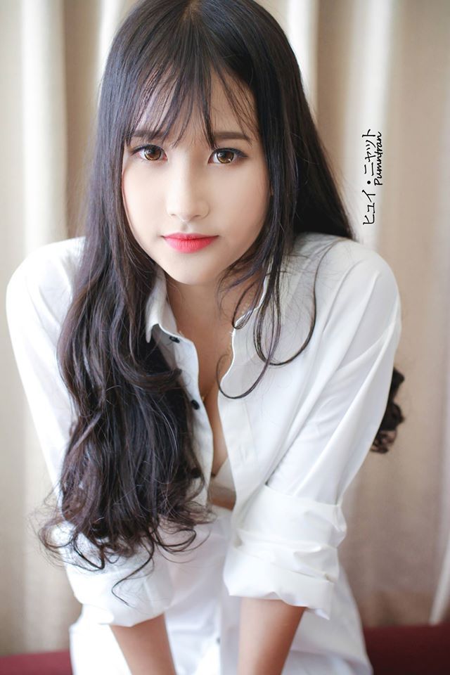 肥貓尋親記第二部